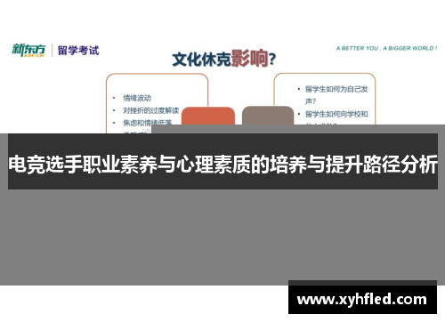 电竞选手职业素养与心理素质的培养与提升路径分析 电竞选手职业素养与心理素质的培养与提升路径分析