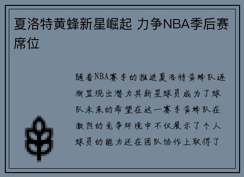 夏洛特黄蜂新星崛起 力争NBA季后赛席位 夏洛特黄蜂新星崛起 力争NBA季后赛席位